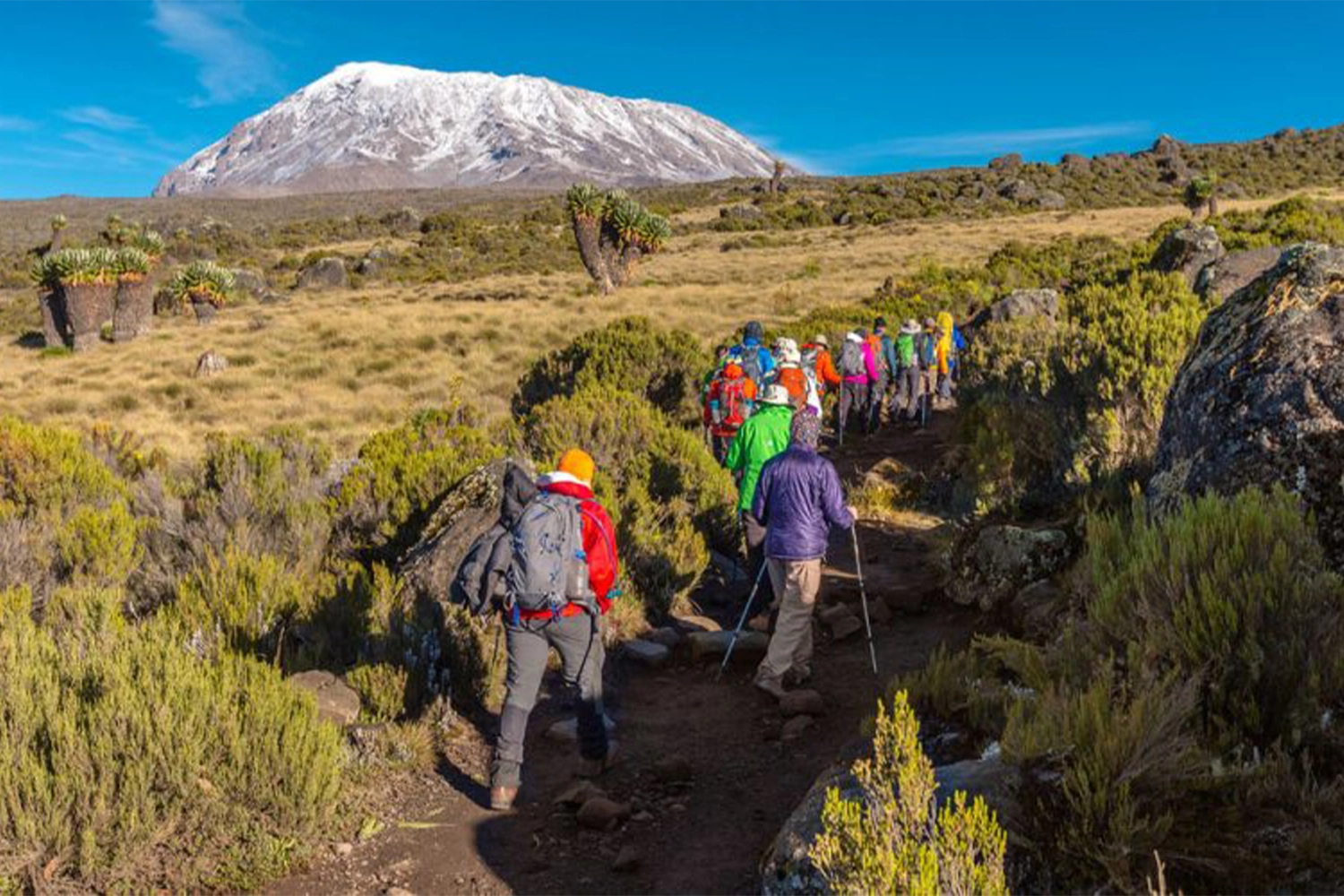 Il Gruppo Di Scalatori Del Monte Kilimanjaro Si Unir Al E Al