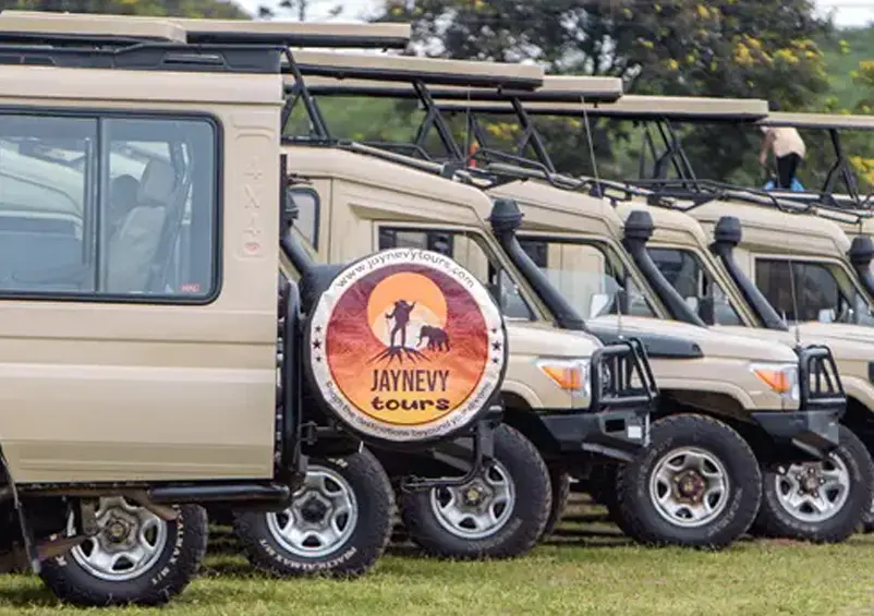 The best safari cars by the best East Africa Travel Agency