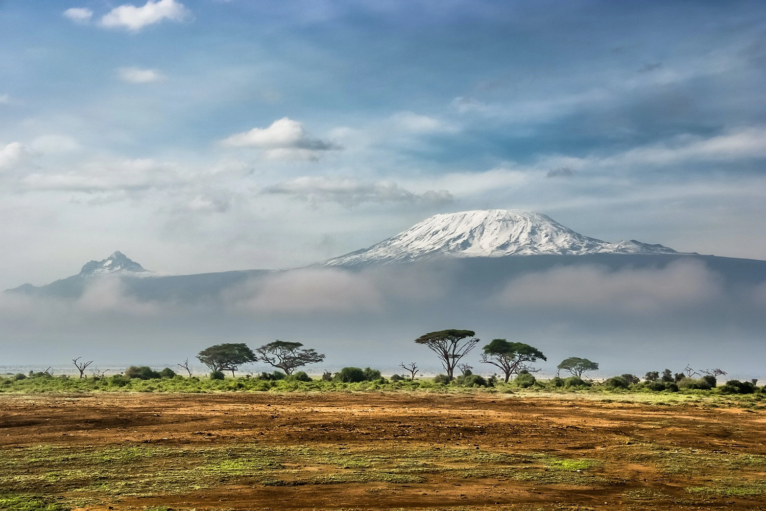 one day Mount Kilimanjaro  climbing