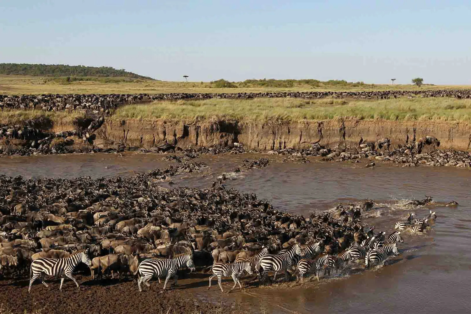 10 Days Serengeti Safari