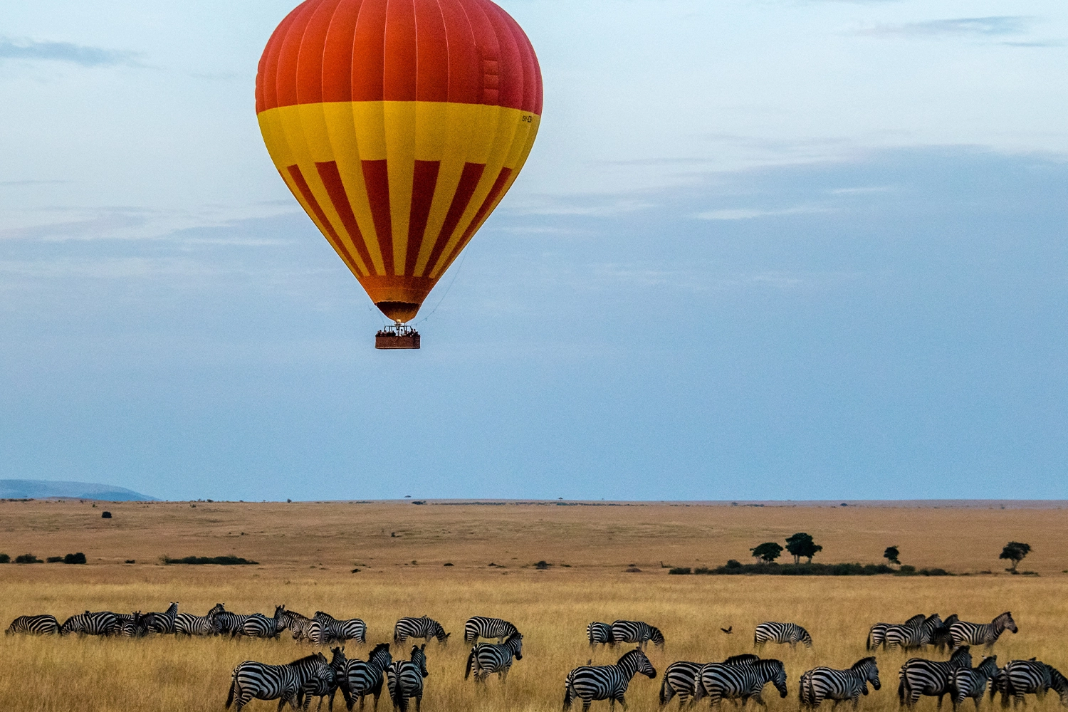 Serengeti hot air balloon safari: Best of  3 to 10 days of balloon ride