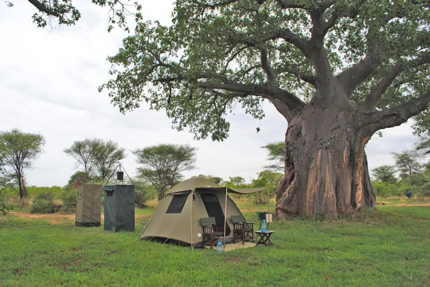 Serengeti Camping Safari