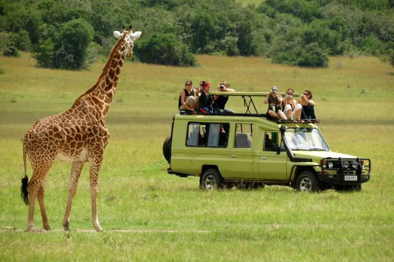 Serengeti joining safari