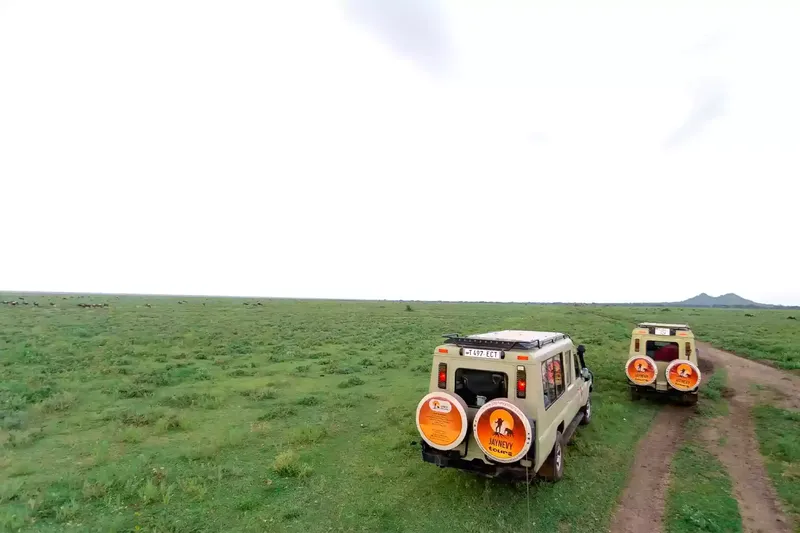 Safari vehicle watching wildlife in the Serengeti