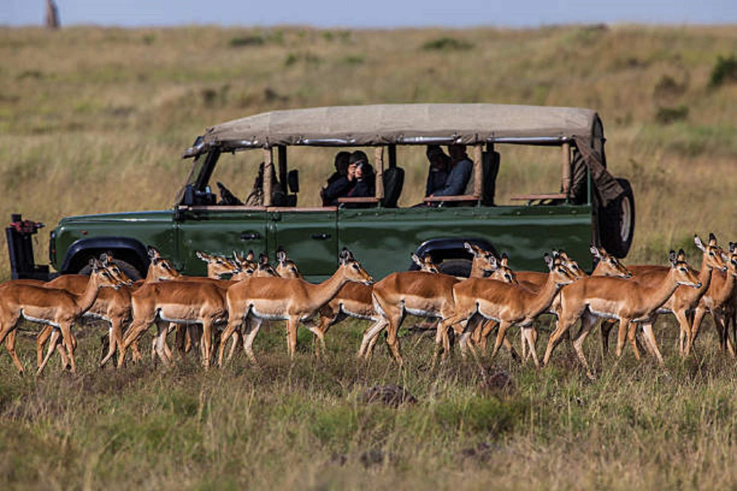 Serengeti photograph adventure package