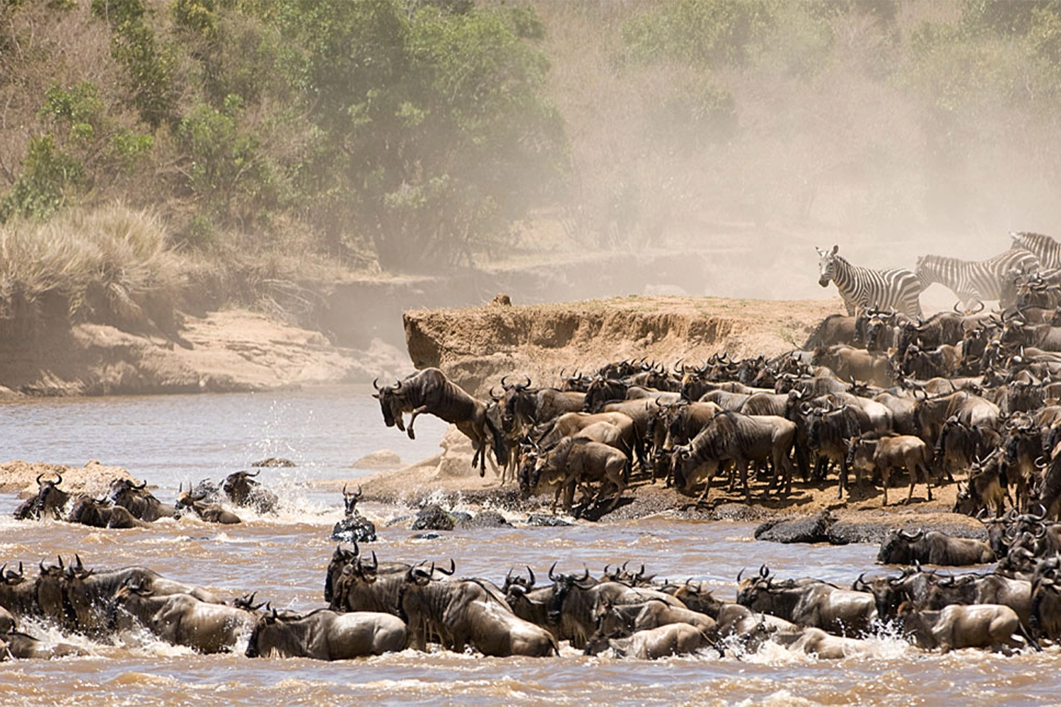 4-day Tanzania camping safari tour package