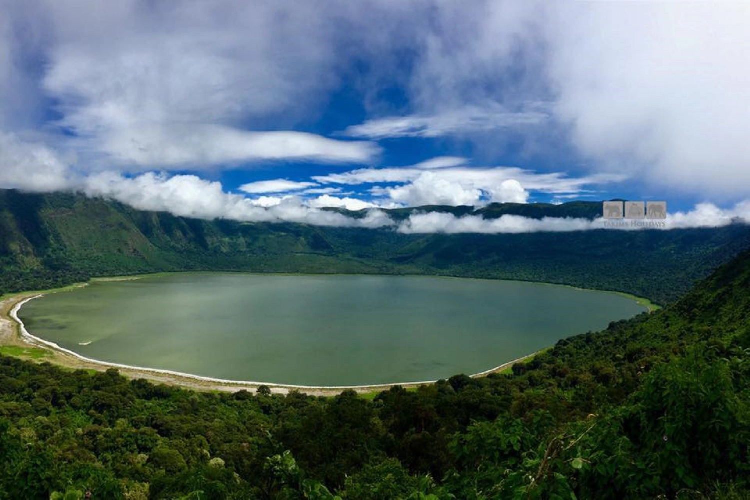 Ngorongoro crater shoot