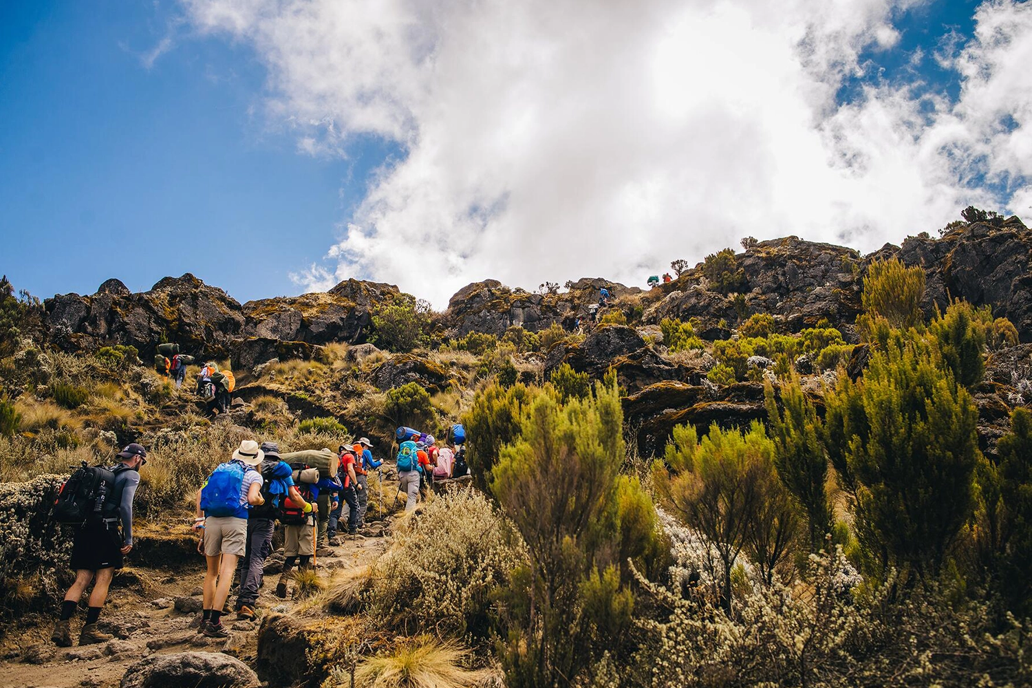 5 days Mount Kilimanjaro climbing 