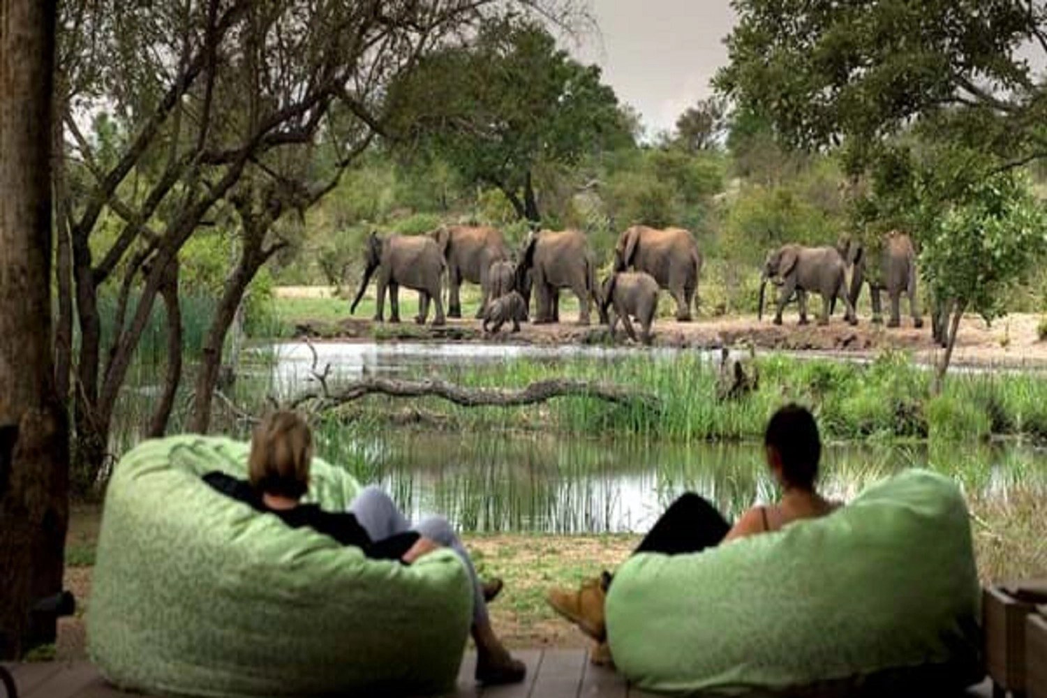 Exclusive 6 days Tanzania Romantic Safari Vacation