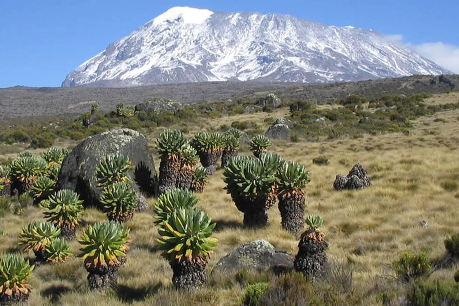 6 days budget Kilimanjaro climbing Machame route