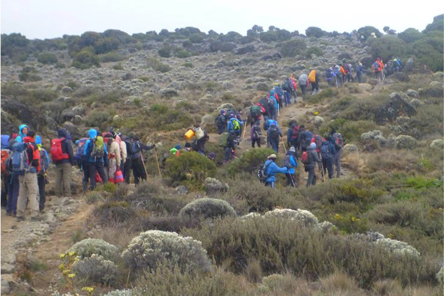 6 days Kilimanjaro Machame group joining