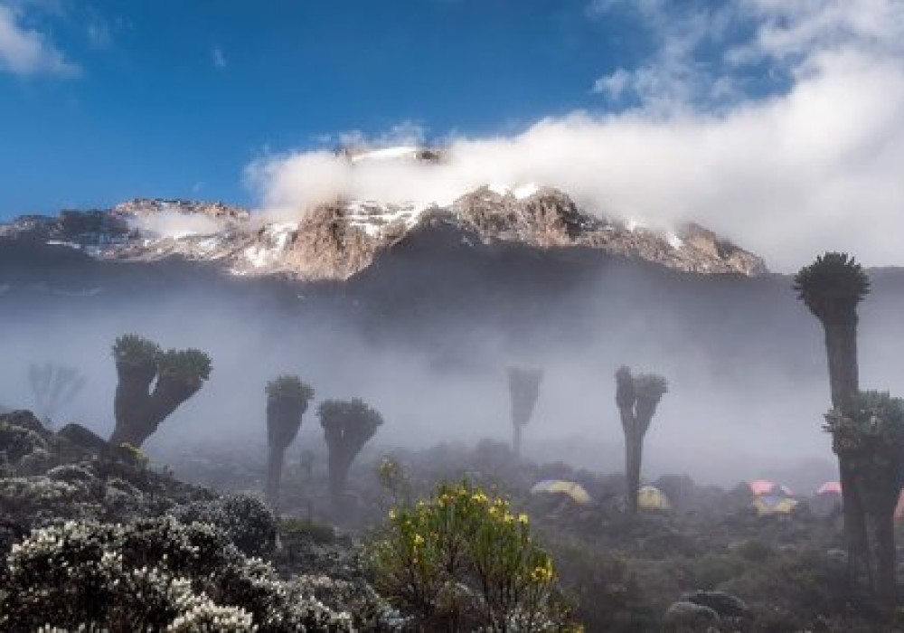 Mount Kilimanjaro Umbwe Route