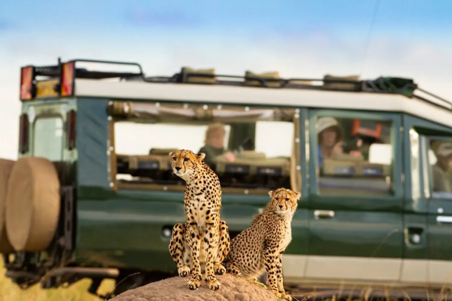 6-day Serengeti joining safar