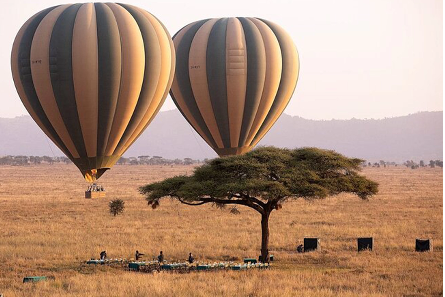 7 Days Serengeti hot air balloon safari