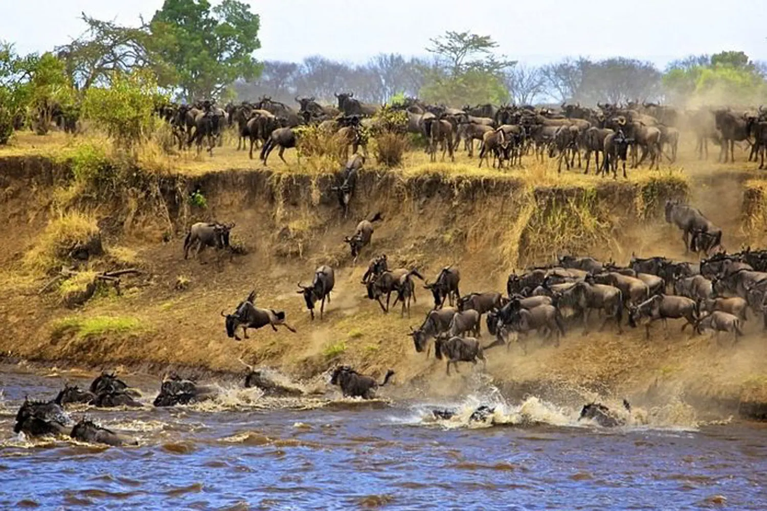 The best 7 days Serengeti lodge safari