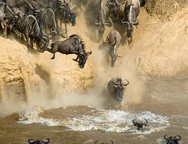 7 days Serengeti wildebeest migration safari