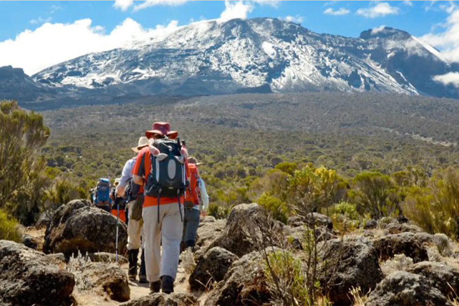 8 days budget Kilimanjaro climbing Lemosho route