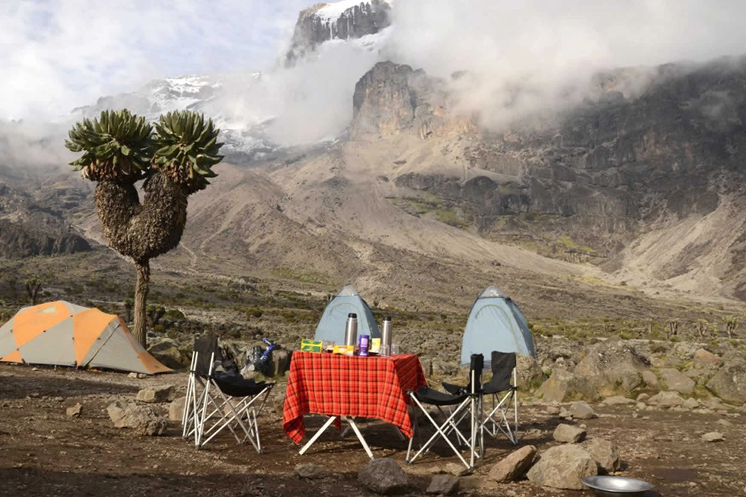 8-Days Lemosho route Kilimanjaro luxury climbing