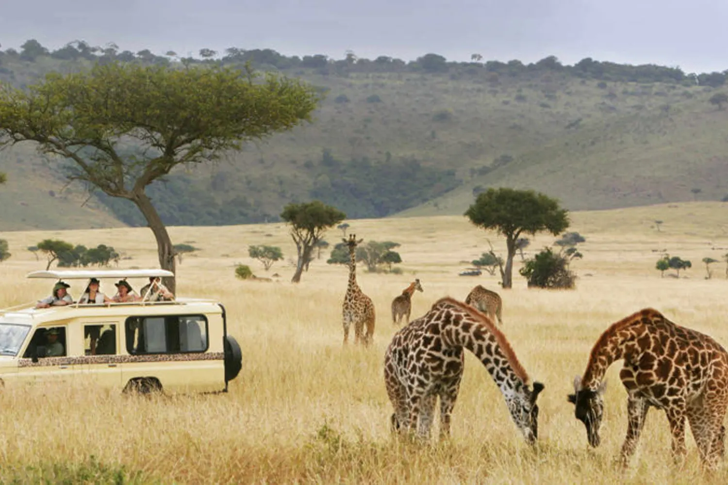 8 Days Serengeti Private Safari