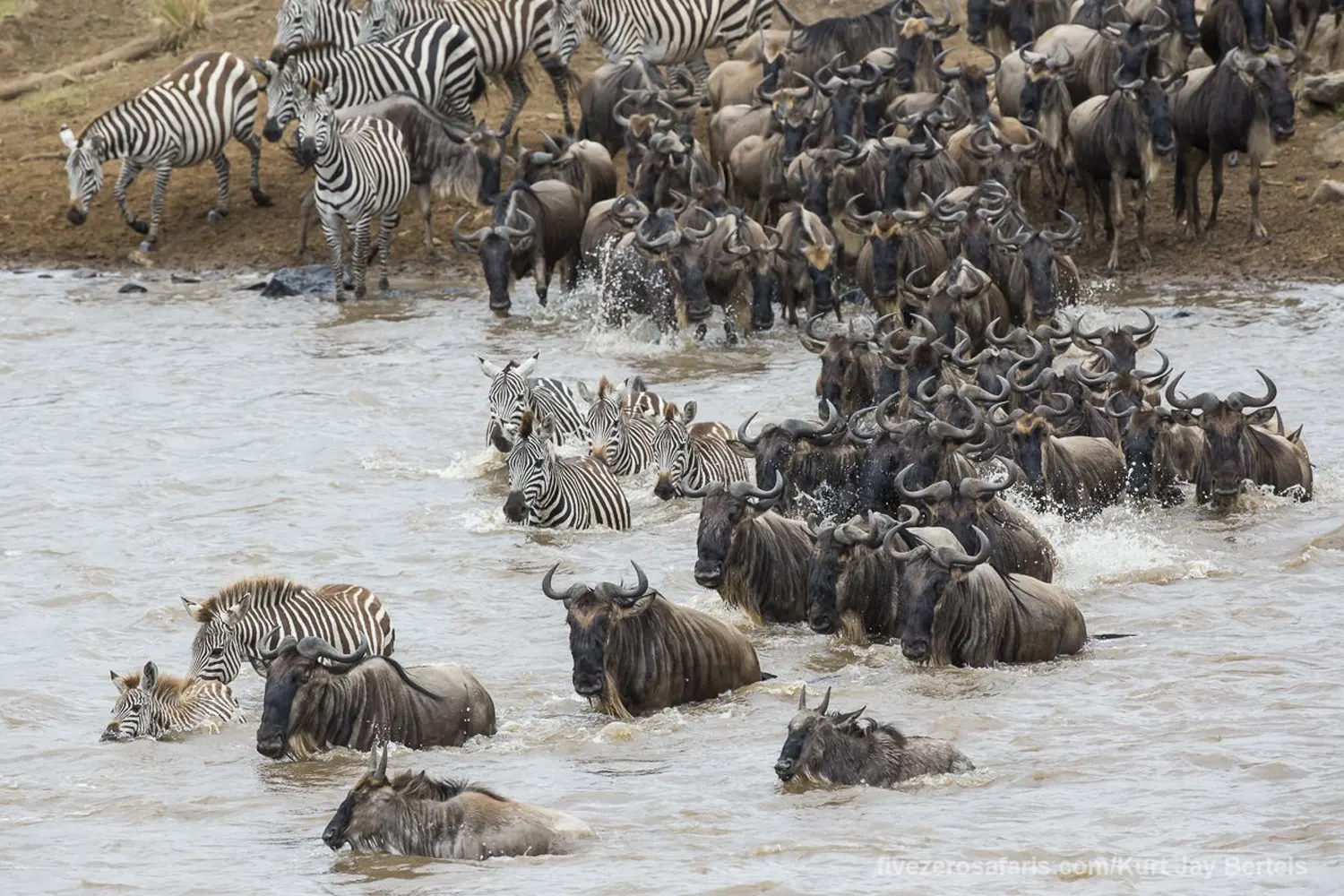 9 Days Serengeti Private Safari