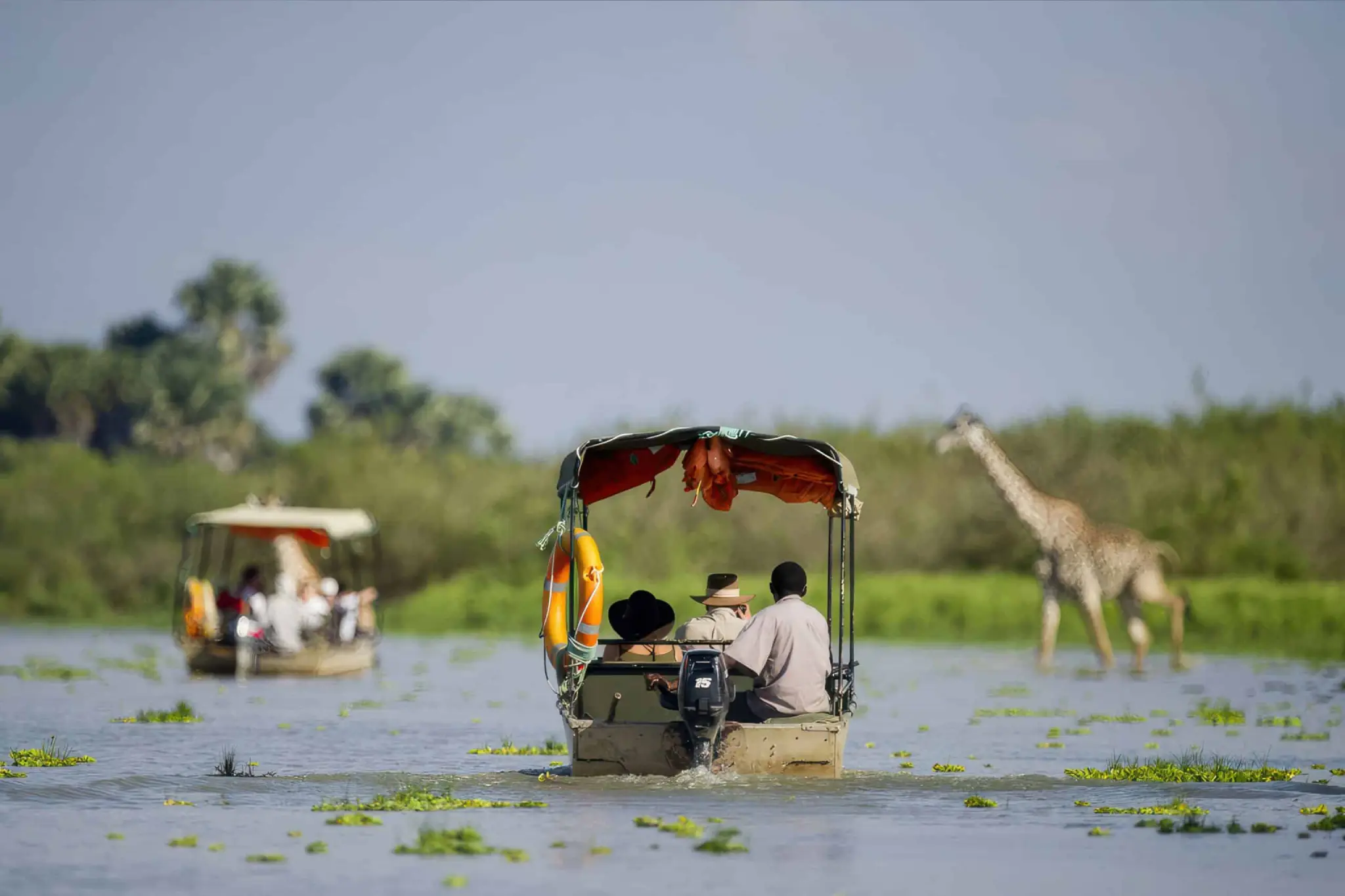 The Wonderful 7-Day Selous - Mikumi - Udzungwa Safari Tour