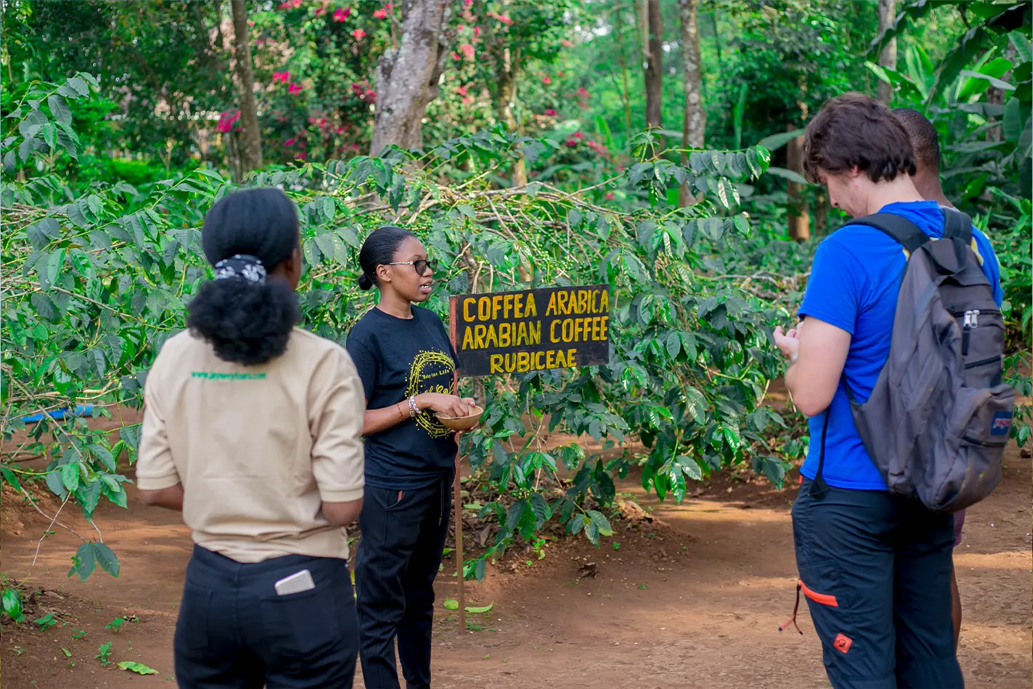 Materuni Waterfall And Coffee Tour