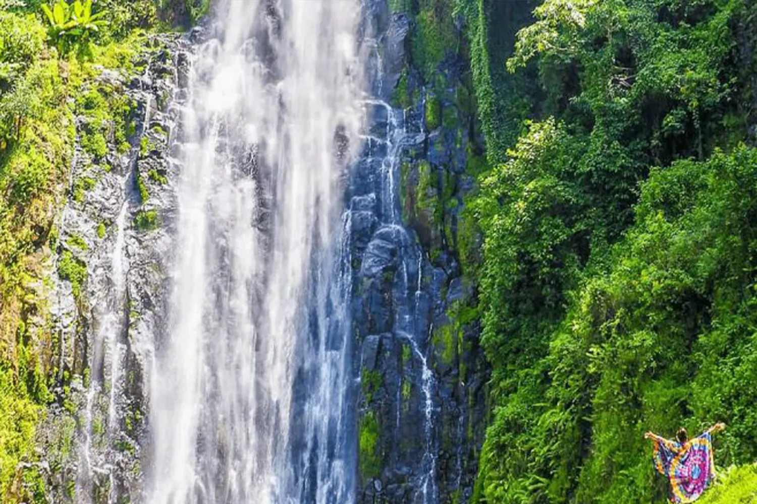 The Best Materuni Waterfall And Coffee Tour Experience