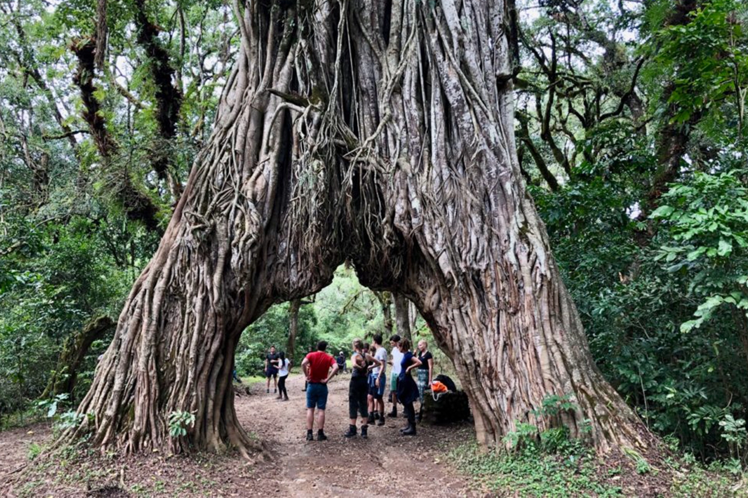 Arusha National Park Day Trip