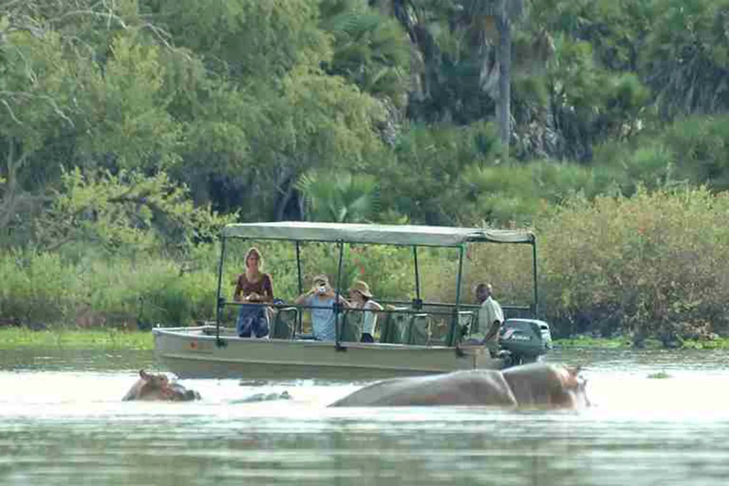 Selous game reserve - A boat cruise in Selous