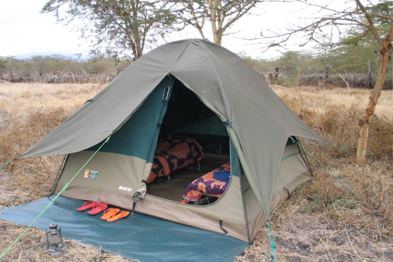 6 Days Wildlife Camping safari