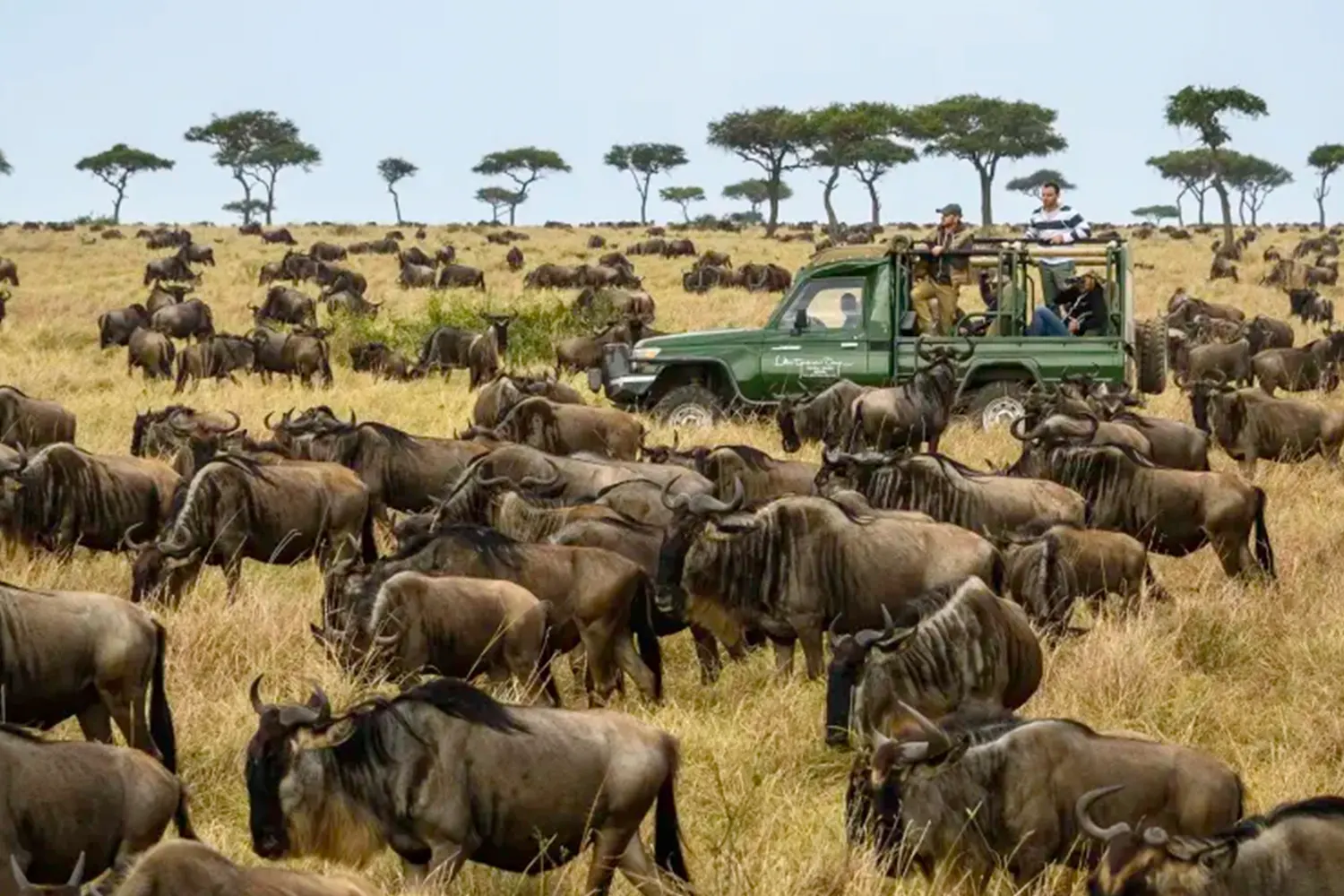 6 Days Serengeti Wildebeest Migration