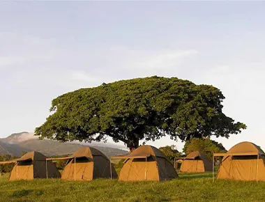 camping at Tanzania