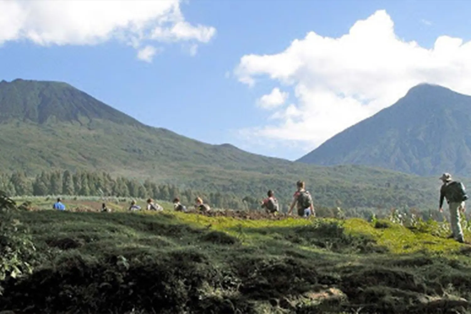 The Revealed 9-Day Uganda Bwindi and Rwanda Volcanoes National Park Safari