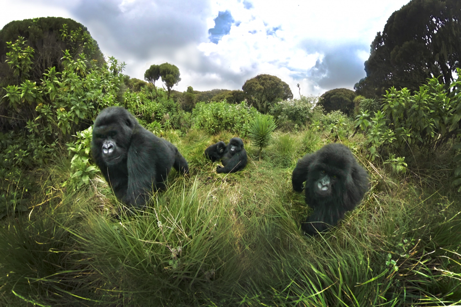 9-Day Kenya Maasai Mara and Tanzania Serengeti Tour