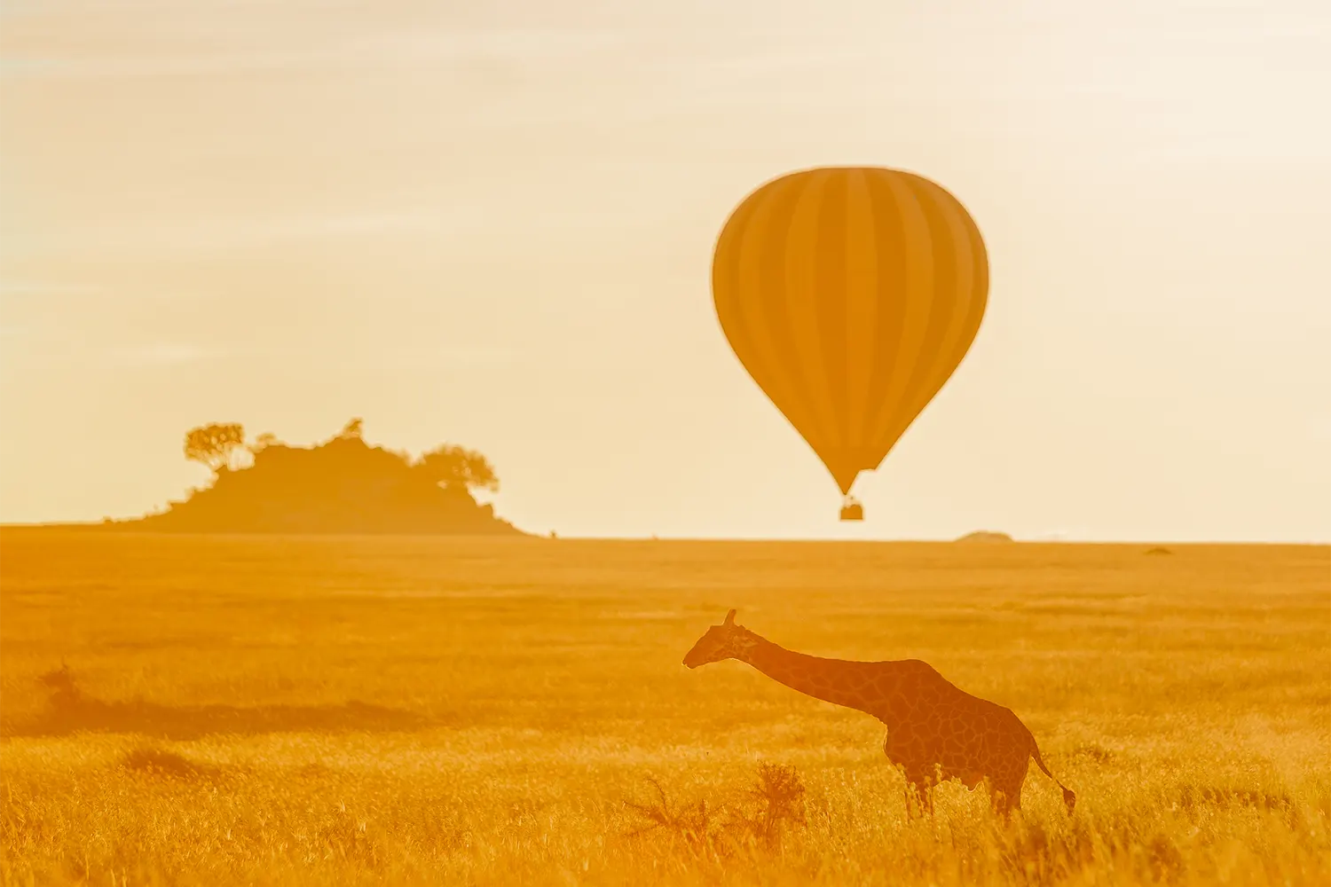 hot air balloon safari