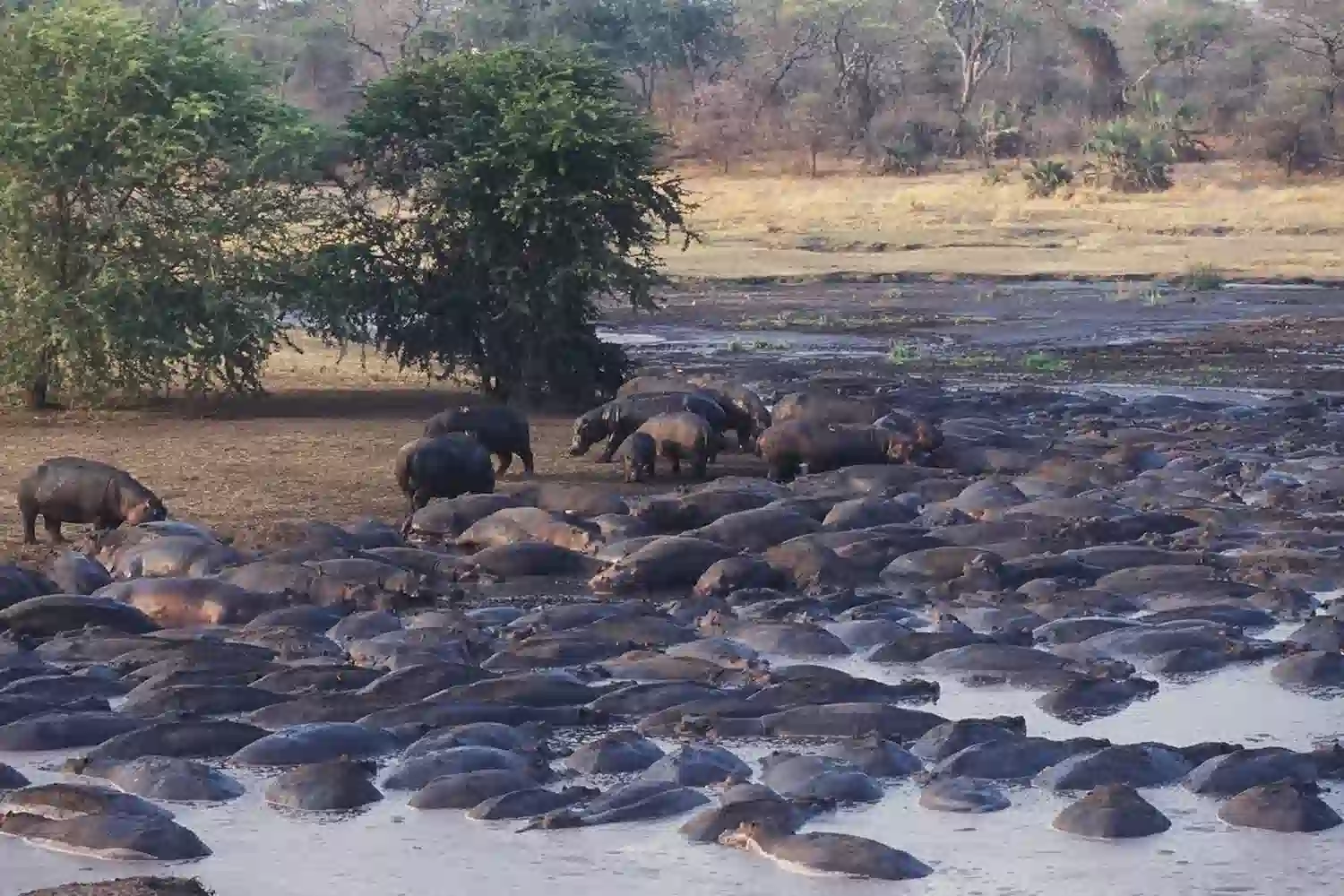 Katavi National Park Safari Katavi National Park Safari