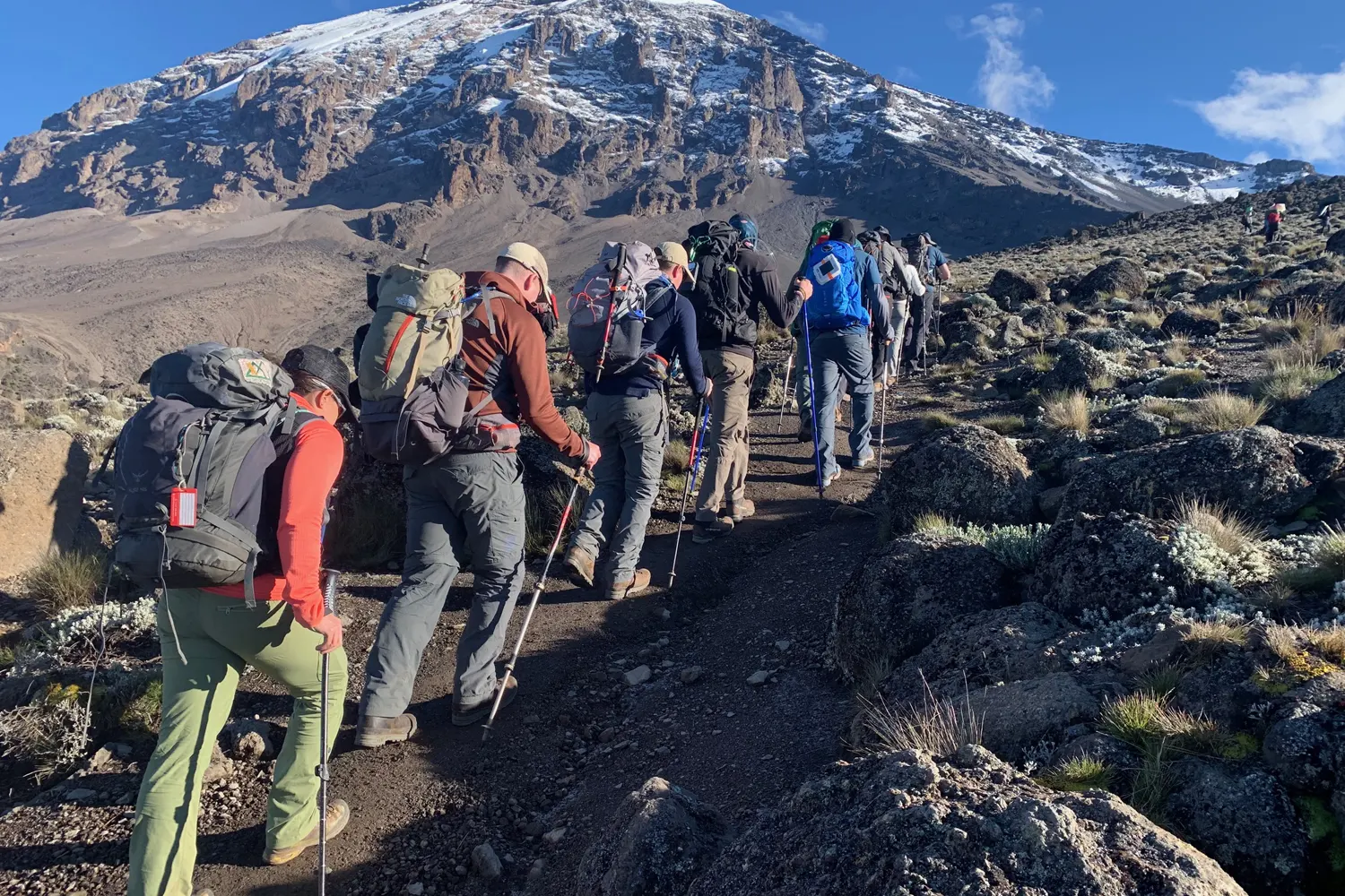 Trekking Kilimanjaro