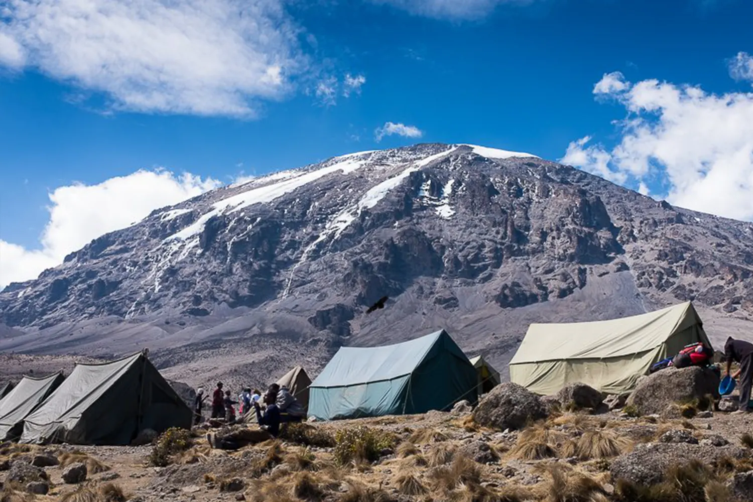 8 days Kilimanjaro Lemosho route