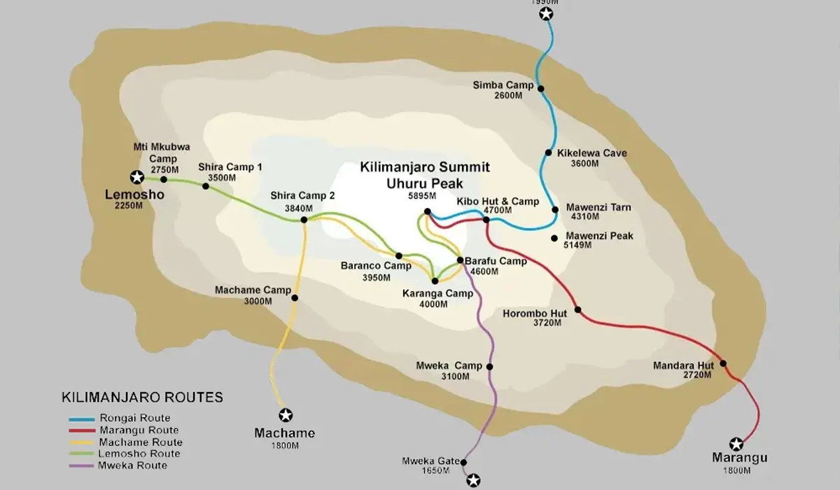 Kilimanjaro Marangu Route Best 5 to 6-Day Acclimatized Trekking Tour Package