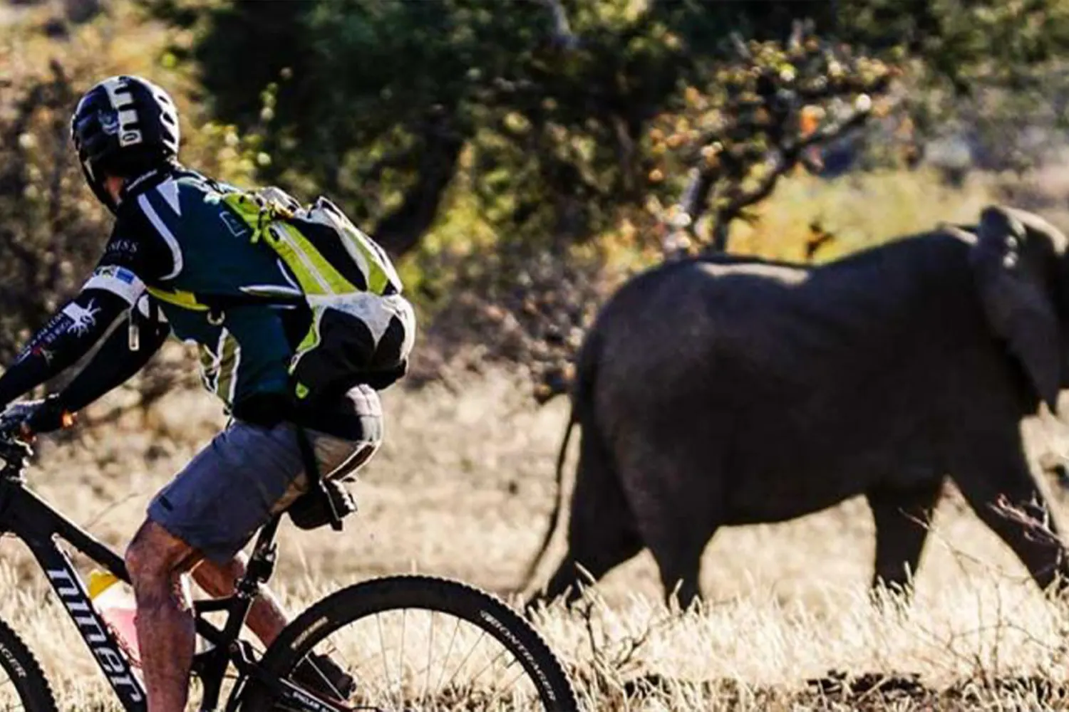 Lake Manyara Cycling Day Tour