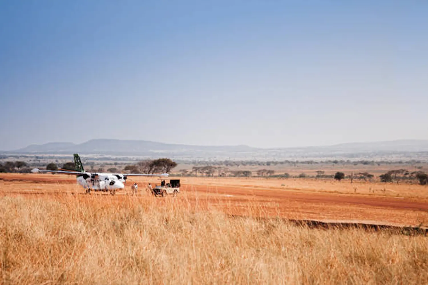 3-day Fly-in Serengeti Safari From Arusha All-Inclusive