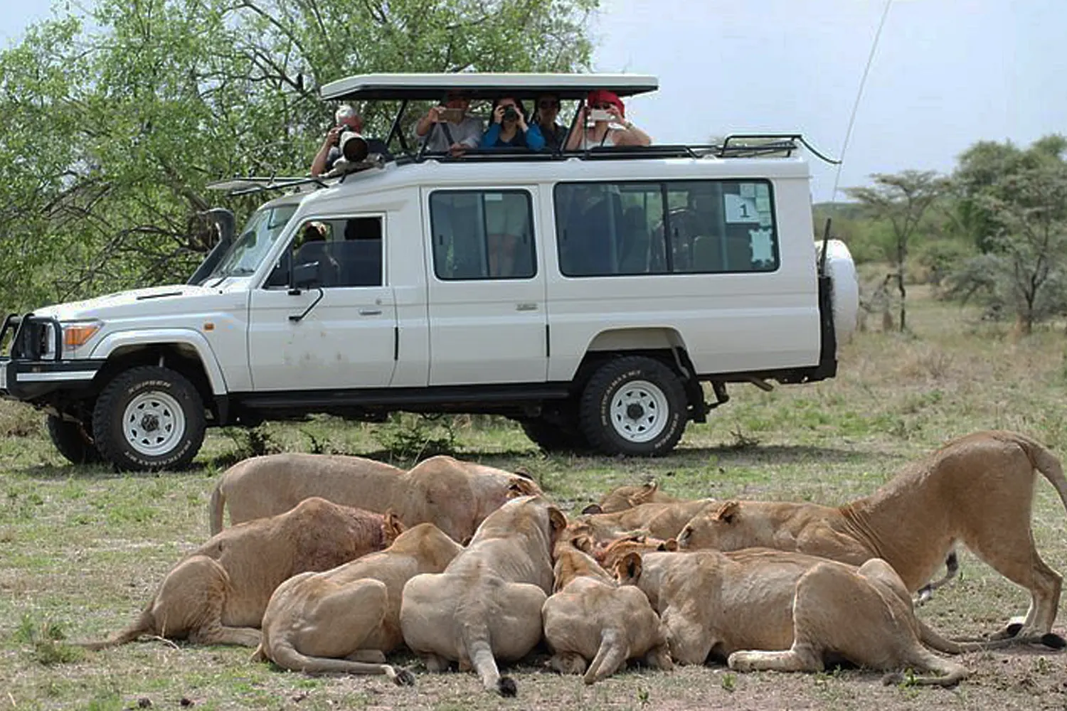 7 Days Tanzania Private Safari