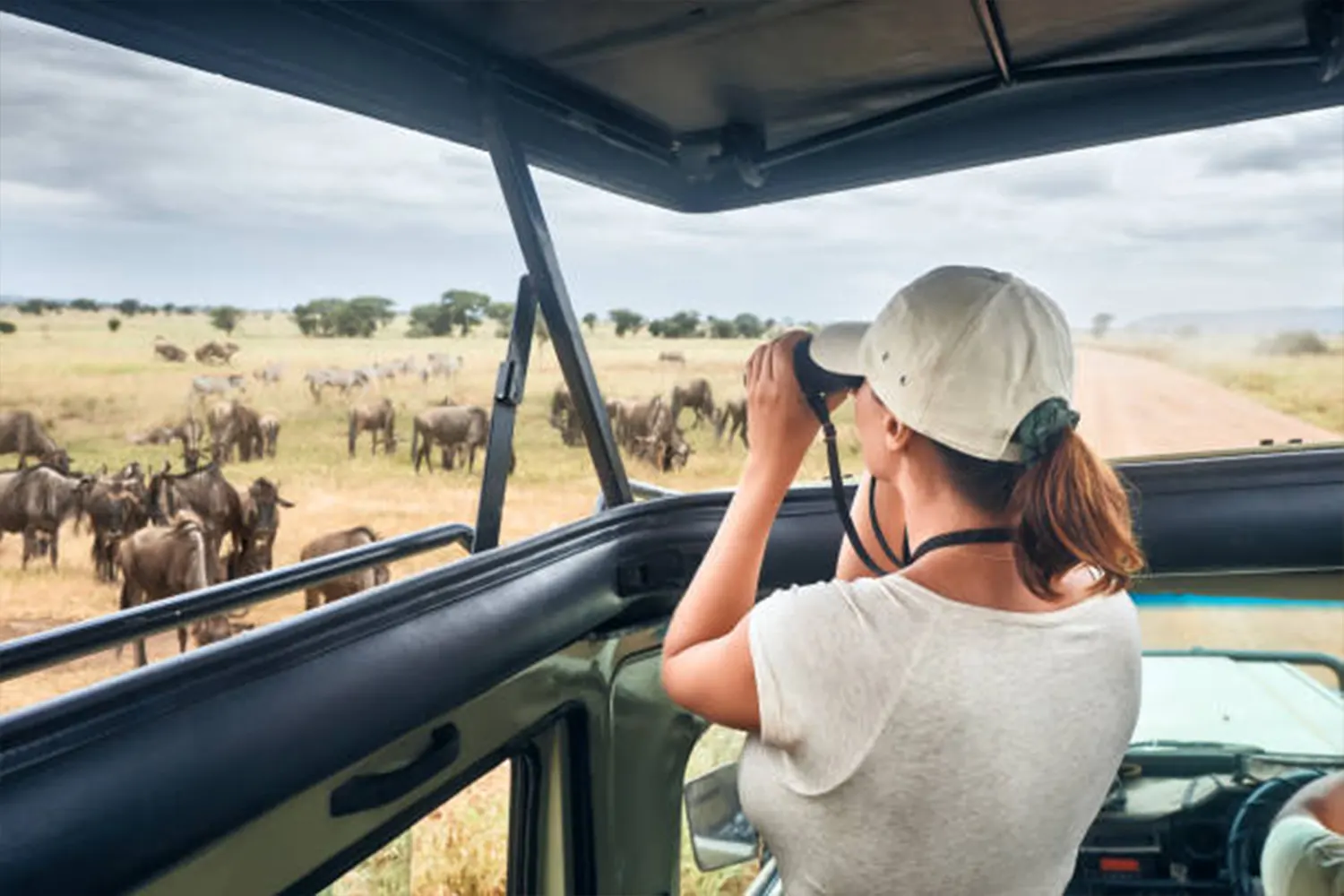 7 days luxury Wildlife Safari Tour Package