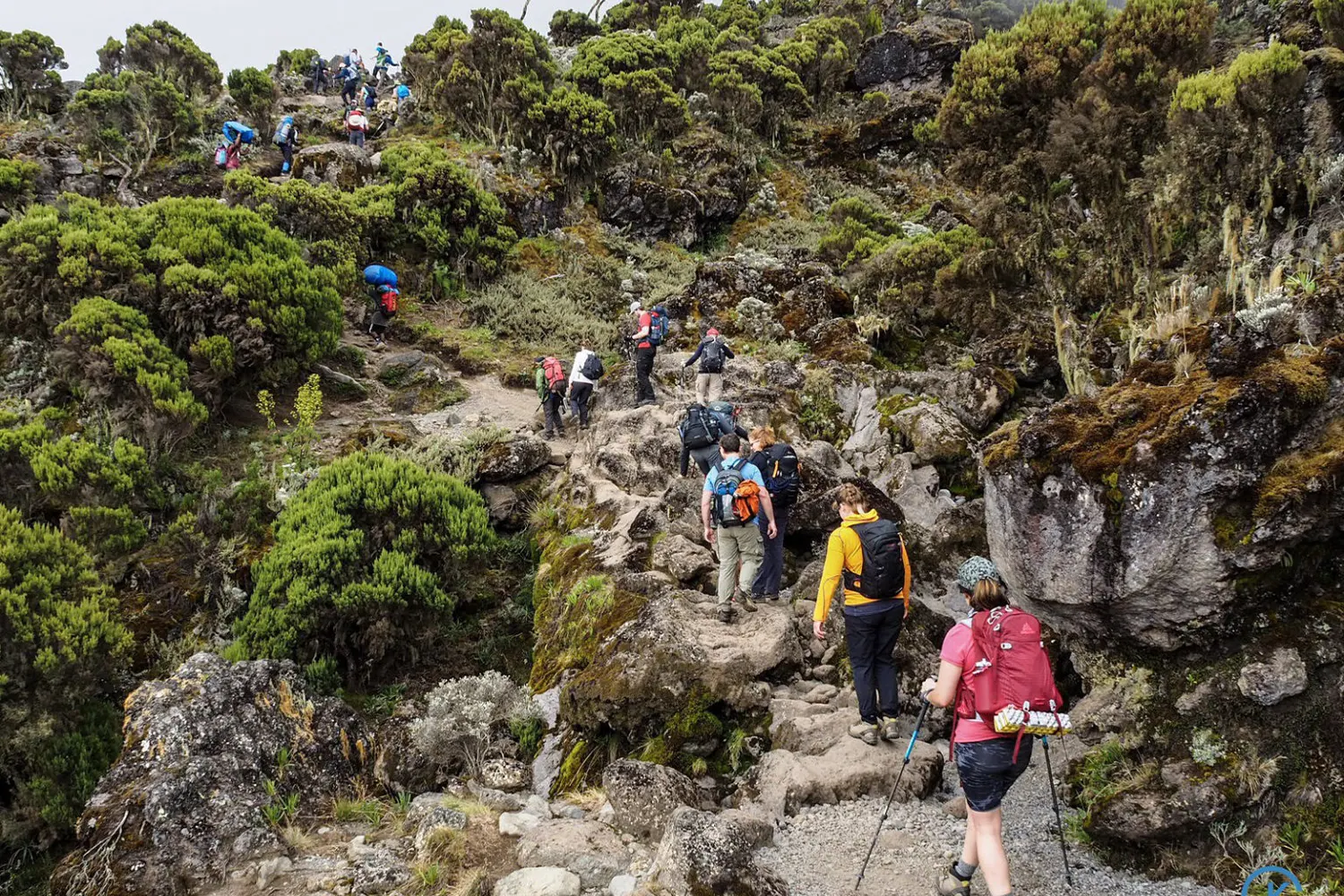 Mount Kilimanjaro Machame route