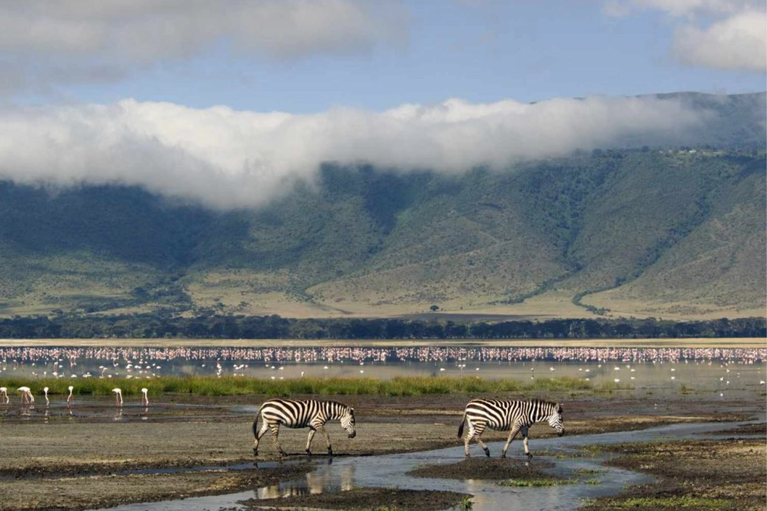 2-Day Tanzania Private Safari Package to Lake Manyara and Ngorongoro