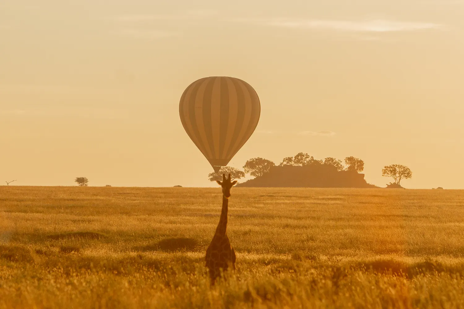 7 days Serengeti balloon safari