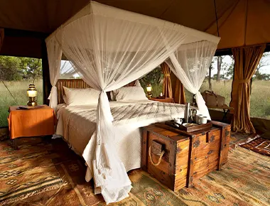 A luxurious bedroom in the wild