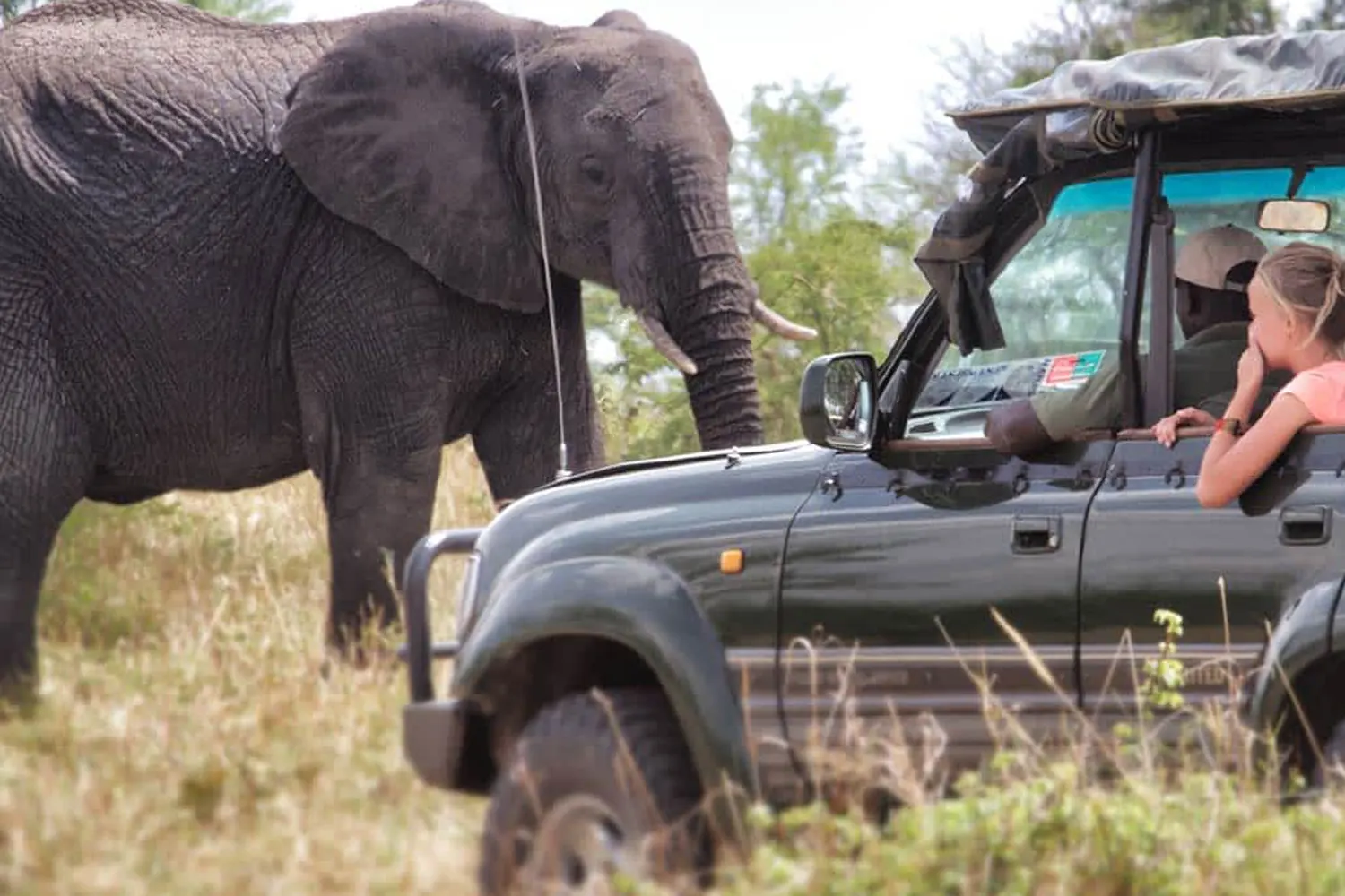 3 days Serengeti private safari