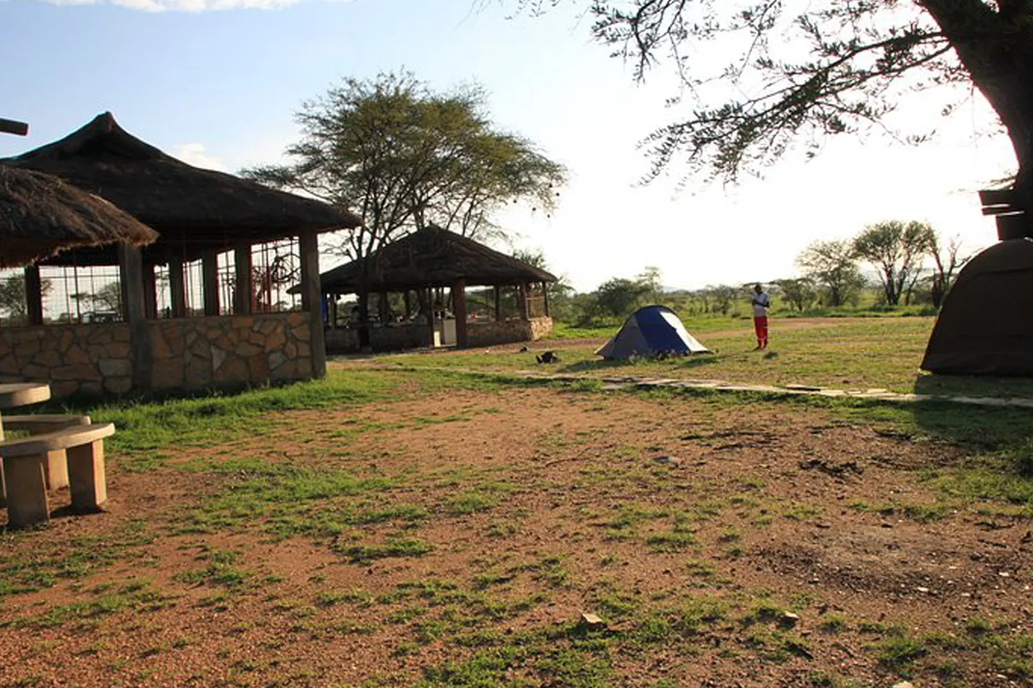 8-day Serengeti camping safari