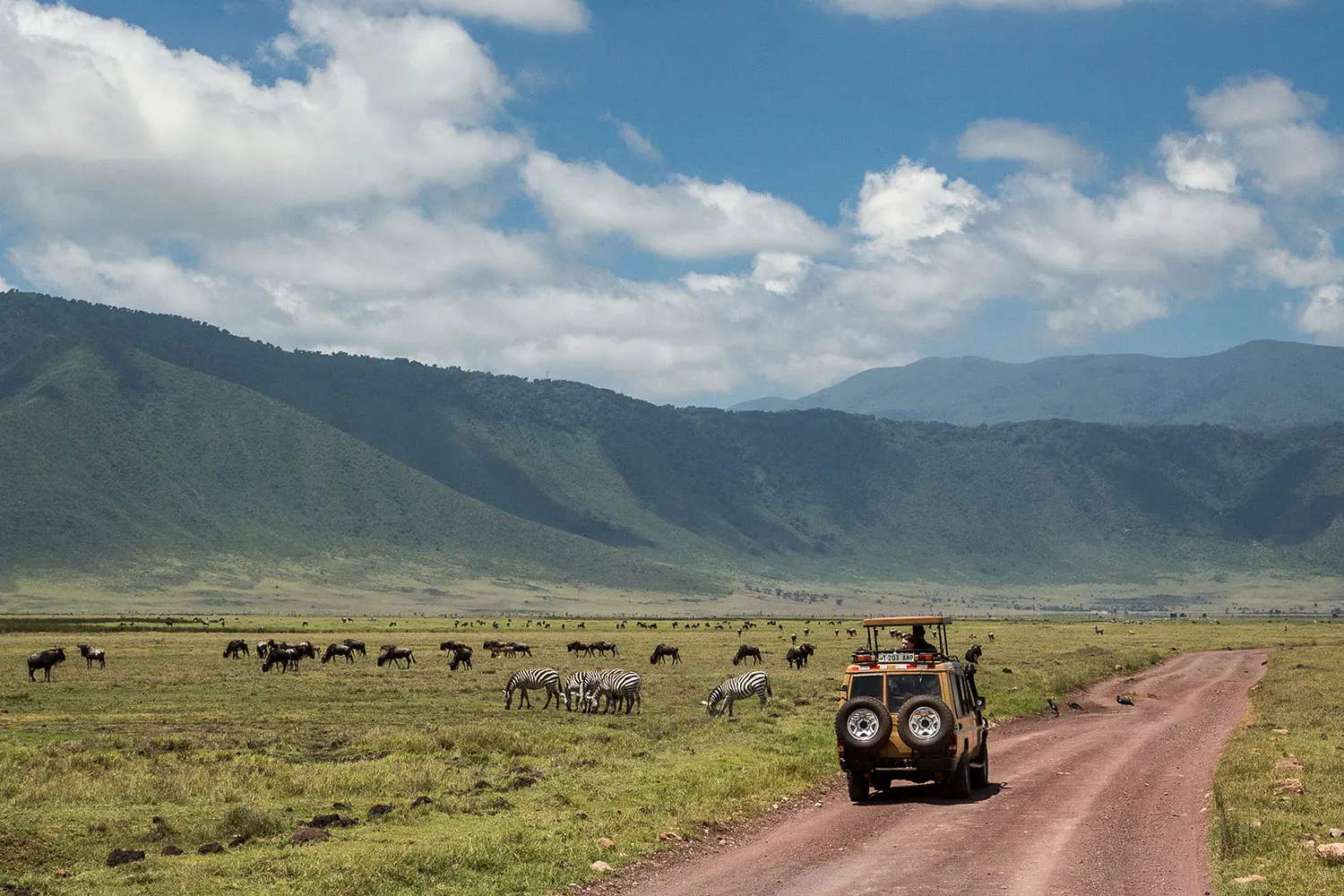 5 day Serengeti lodge safari: 2024 Serengeti comfort lodge safari